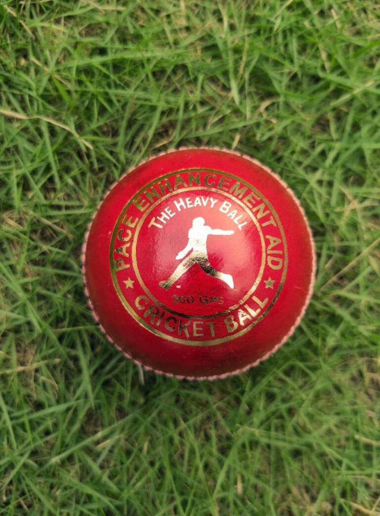 Pacer Technique heavyweight leather cricket ball shown from the front view in red color with the official Pacer Technique logo printed on top, designed for coaching, training, and professional pace practice