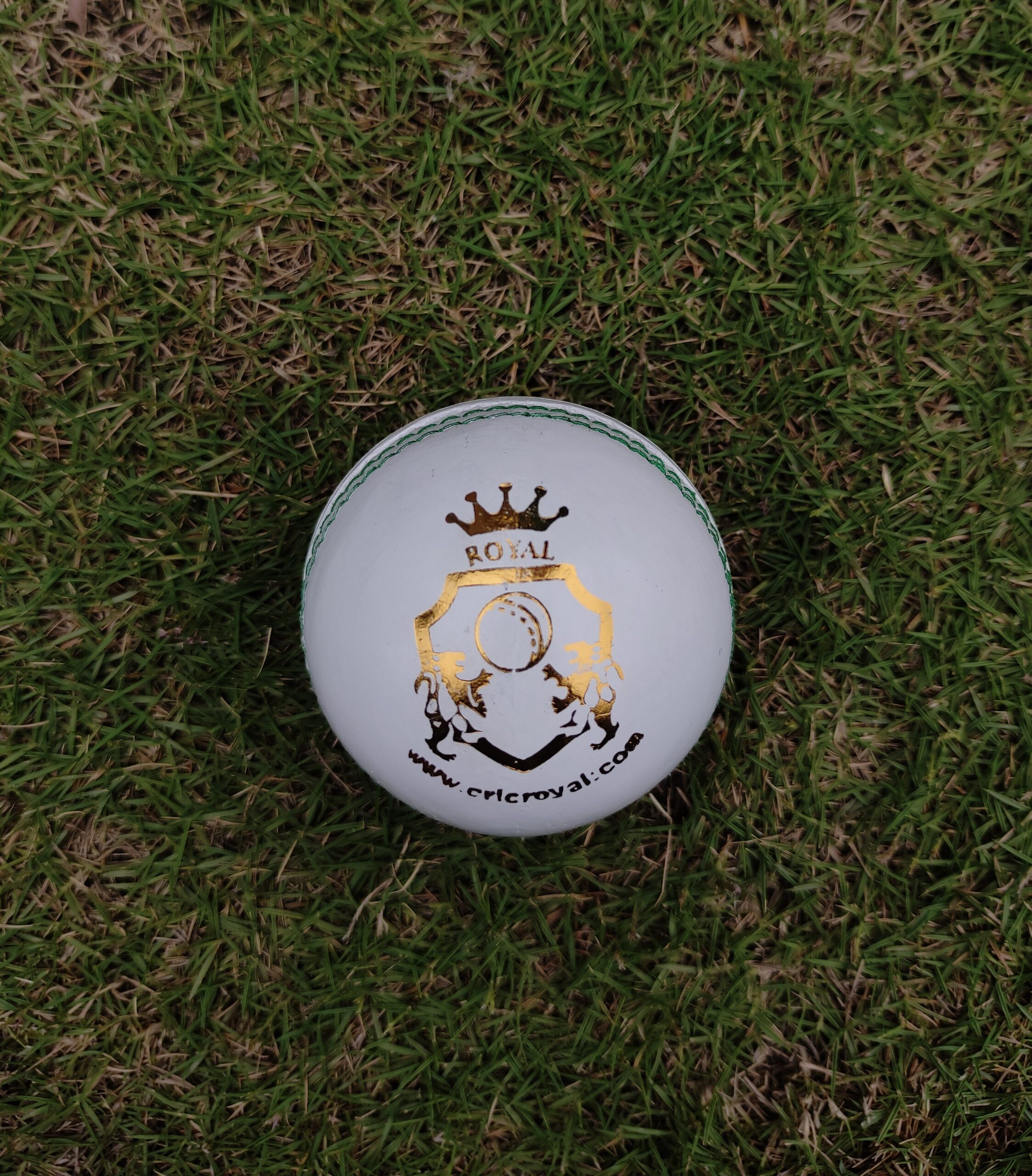 White leather cricket ball shown from the front view featuring the Royal Cricket company logo, designed for promotional and practice use.