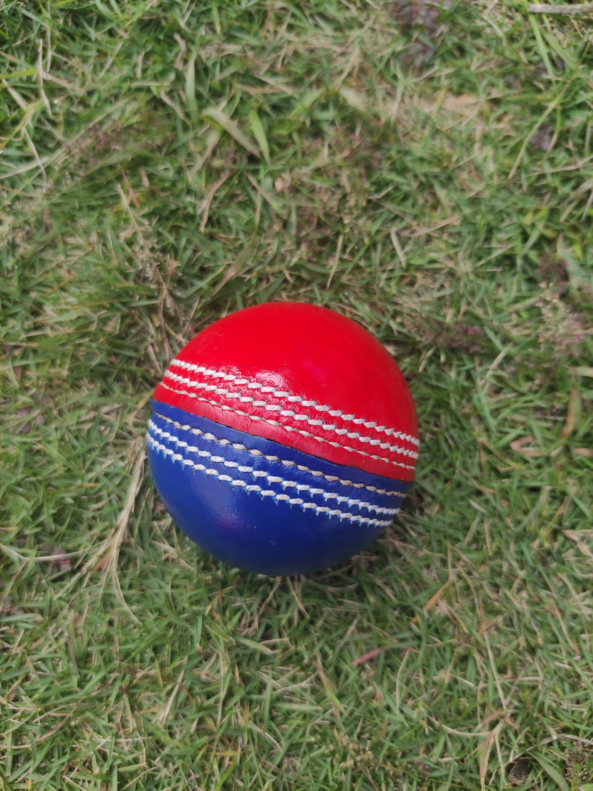 dual color cricket ball