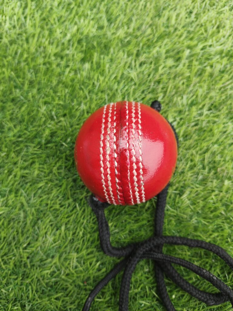 Side view of a red Hanging Ball Solo Practice Leather Cricket Ball with visible seam and attached rope, ideal for solo batting practice, featuring the Royal Cricket logo.