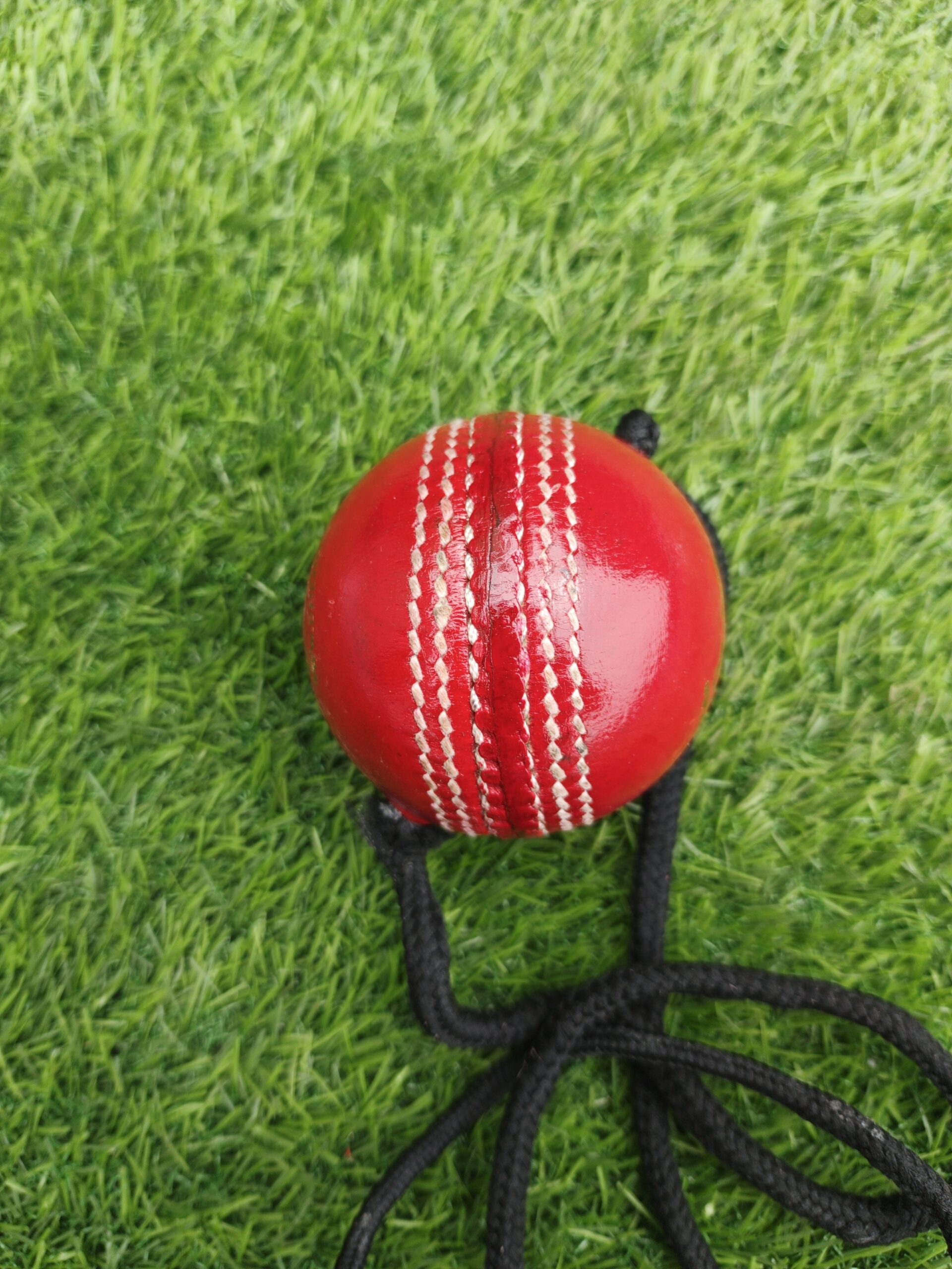 Side view of a red Hanging Ball Solo Practice Leather Cricket Ball with visible seam and attached rope, ideal for solo batting practice, featuring the Royal Cricket logo.