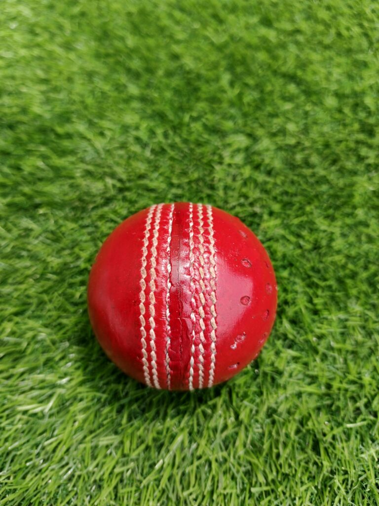 Side view of a red Leather swing cricket ball highlighting the stitched seam detail, designed for coaching and training with the Royal Cricket branding.