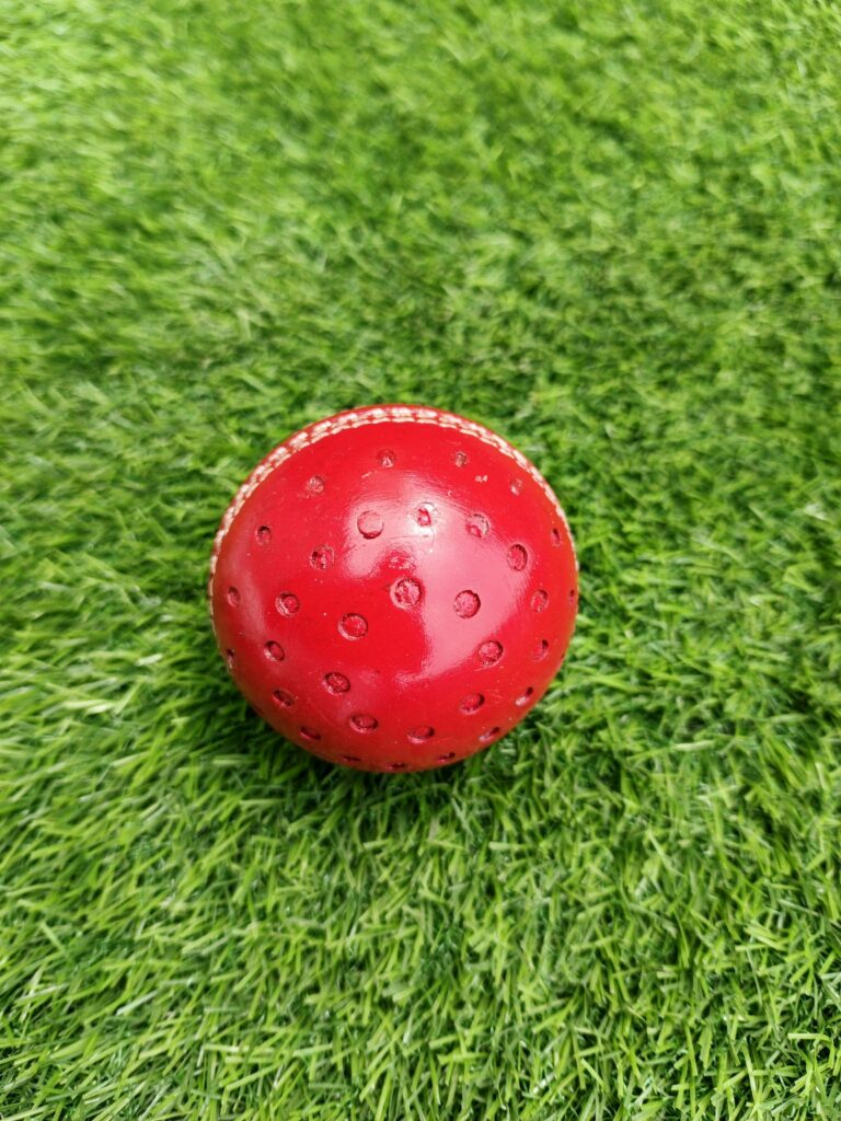 Back view of coaching Leather swing cricket ball featuring ventilation-style holes, designed for training purposes with Royal Cricket branding.