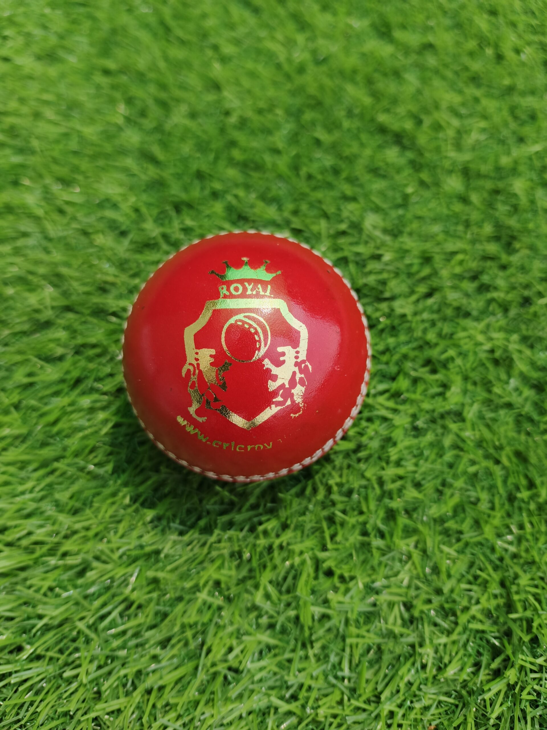 Youth-size genuine leather junior cricket ball shown from front view with Royal Cricket logo printed on the surface, ideal for junior-level players and training sessions