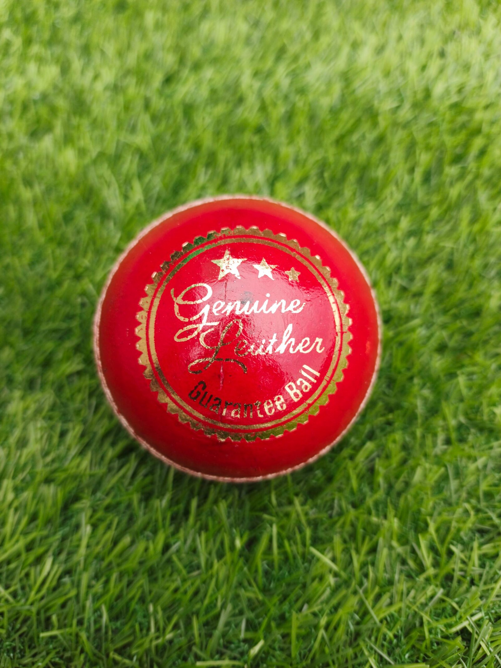 Regulation premium leather cricket ball front view on green grass, ICC standard red ball by Royal Cricket Brand