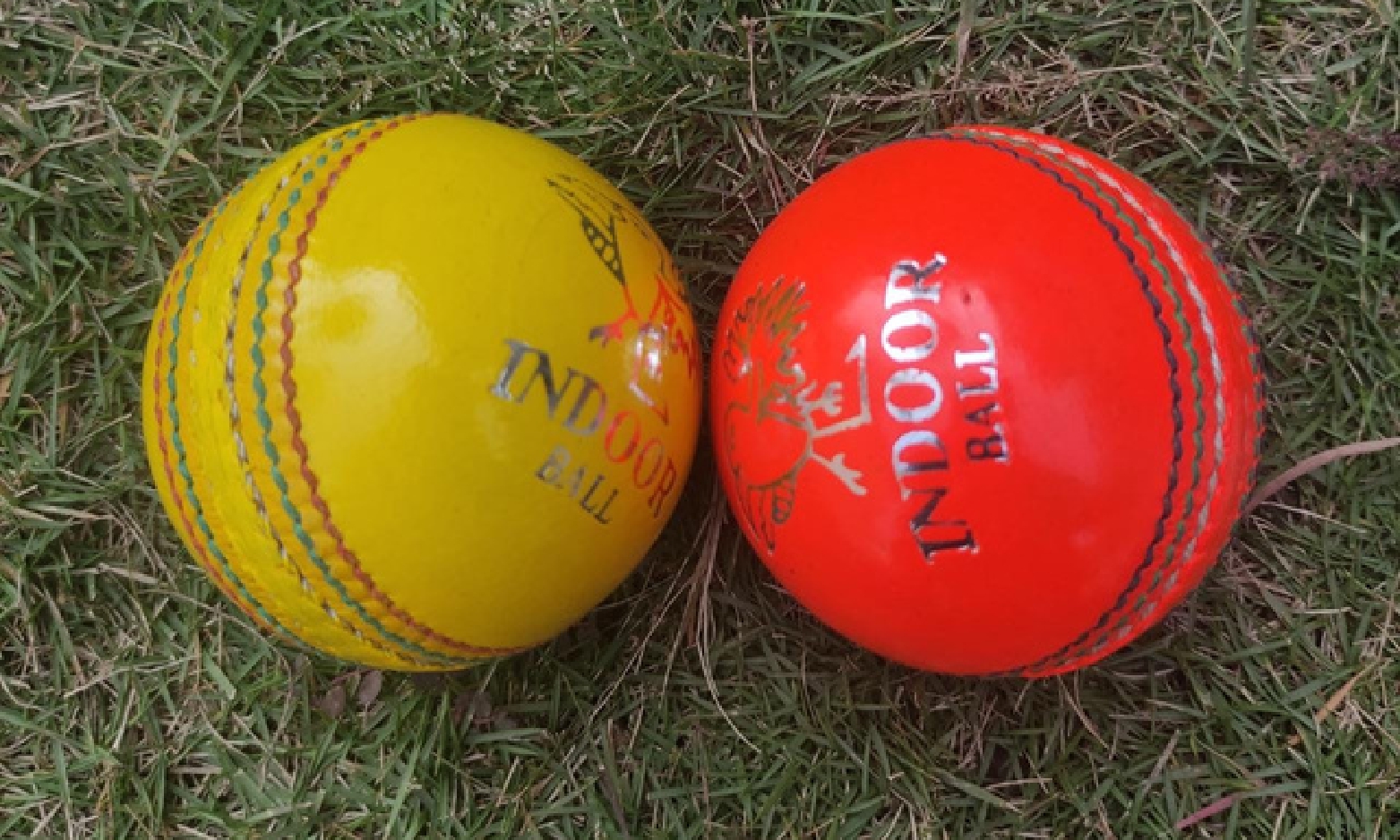 Cricket Ball 10 Indoor cricket balls category image with two balls placed on a gross tray.