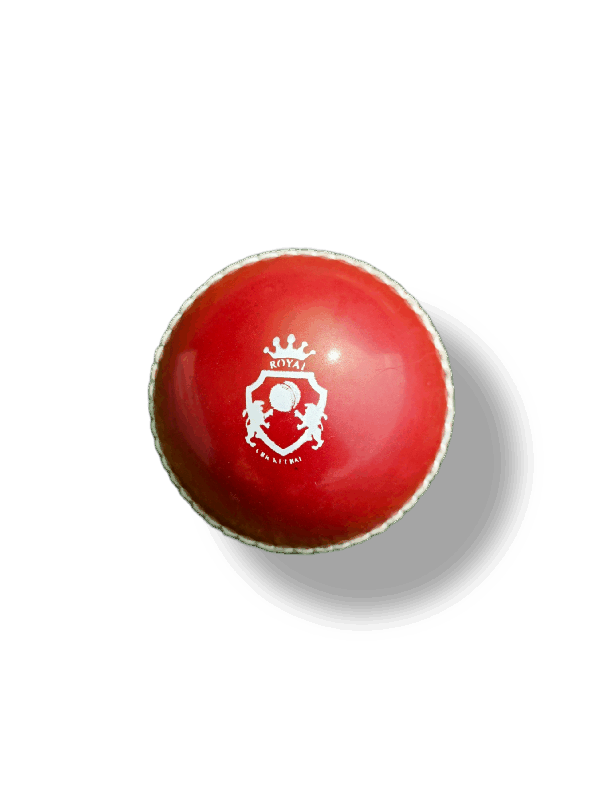 Cricket Ball 20 PVC soft practice cricket ball with realistic shadow and transparent background, designed for training and practice sessions.