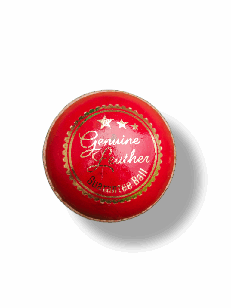 Cricket Ball 16 Regulation Premium Leather Cricket Ball on white background with gold embossed text and soft shadow.